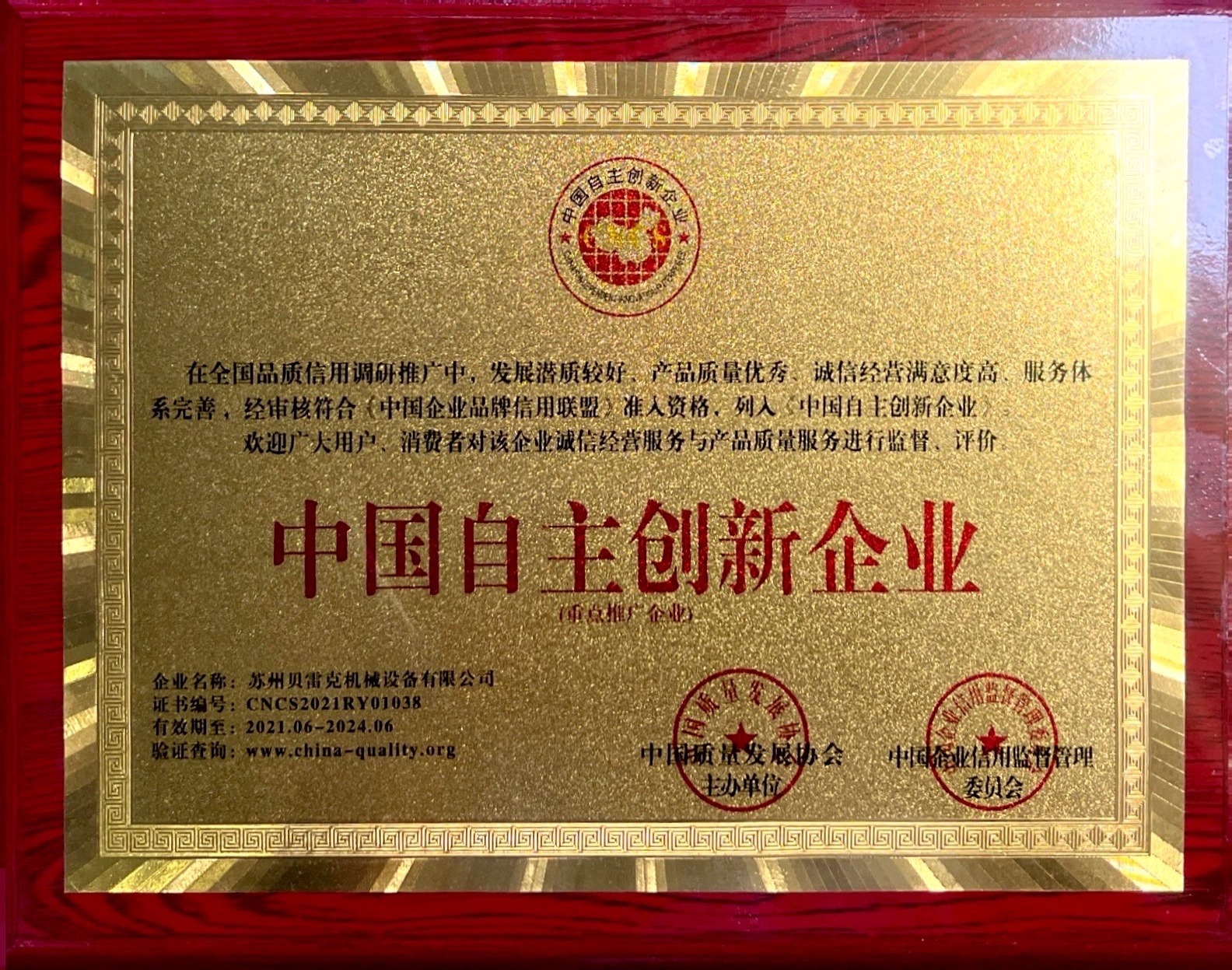 中国自主创新企业